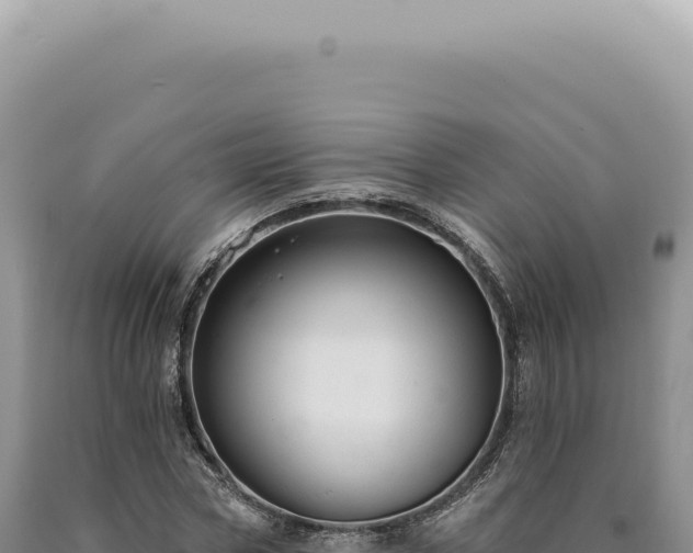 X0000090770778200707271526