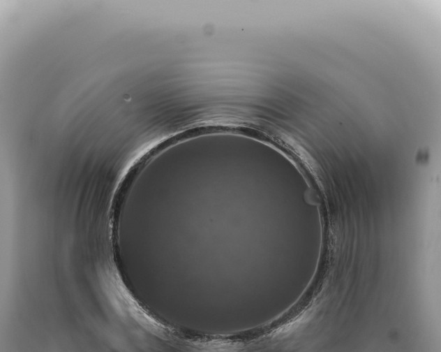 X0000090770779200707271526