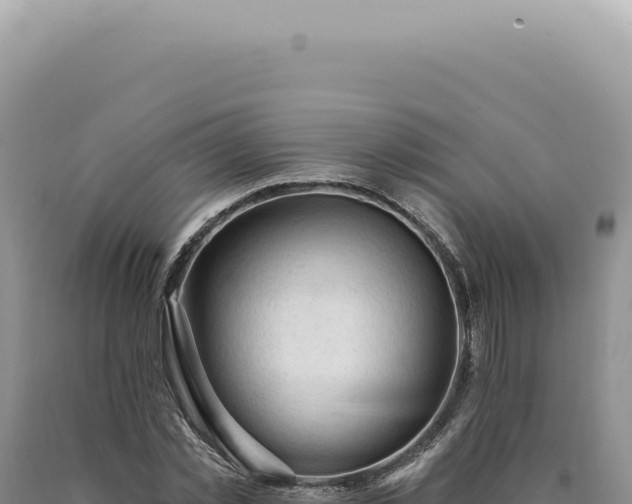 X0000090770781200707271526