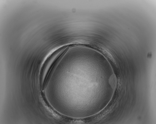 X0000090770784200707271526