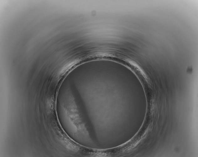 X0000090770785200707271526