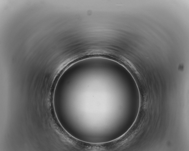X0000090770786200707271526