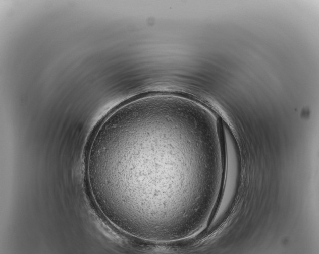 X0000090770787200707271526