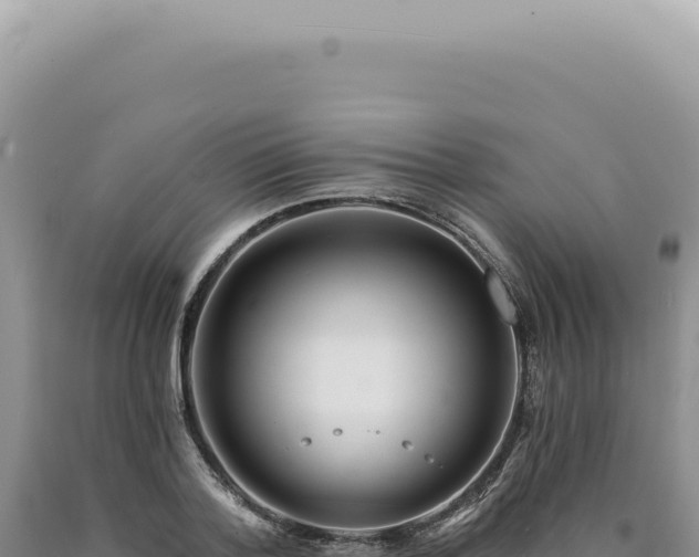 X0000090770788200707271526