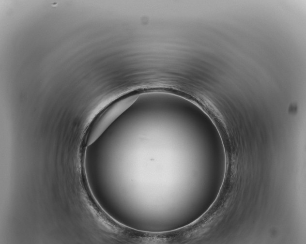 X0000090770789200707271526