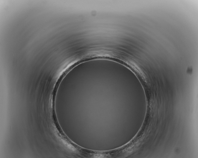 X0000090770790200707271526