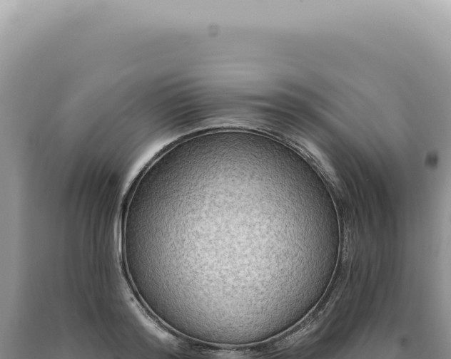 X0000090770796200707271526