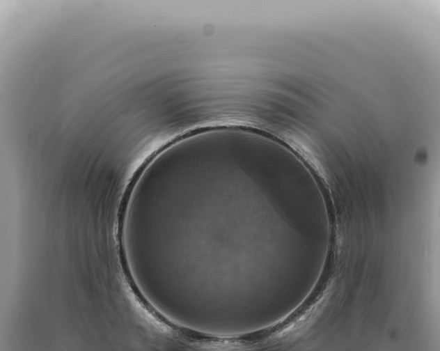 X0000090770797200707271526