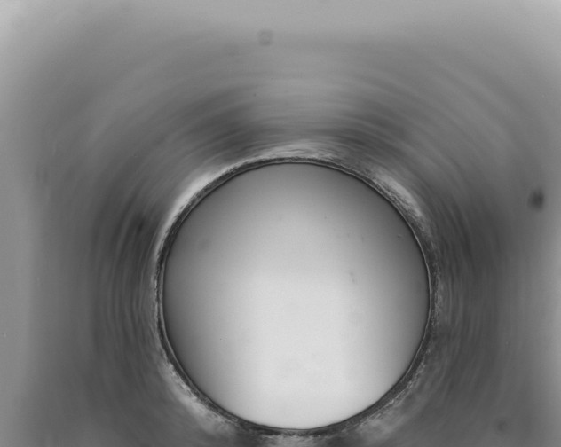 X0000090770800200707271526