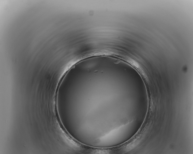X0000090770802200707271526