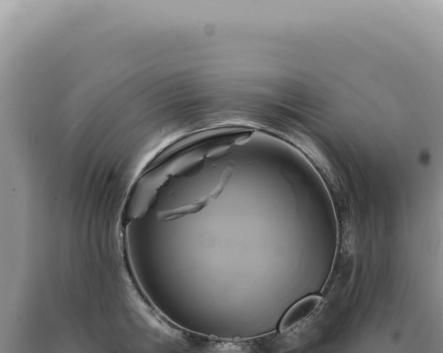 X0000090770806200707271526