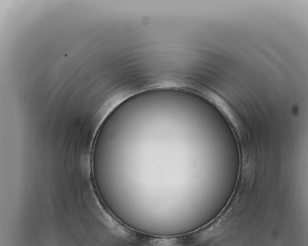 X0000090770810200707271526