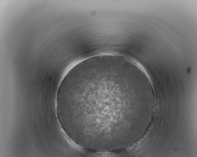 X0000090770811200707271526