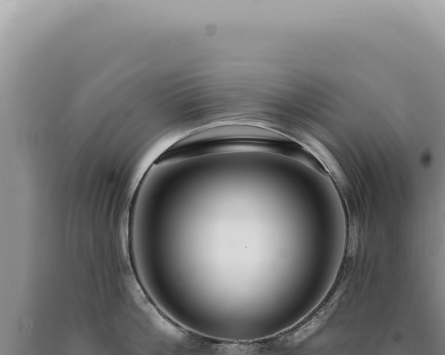 X0000090770812200707271526