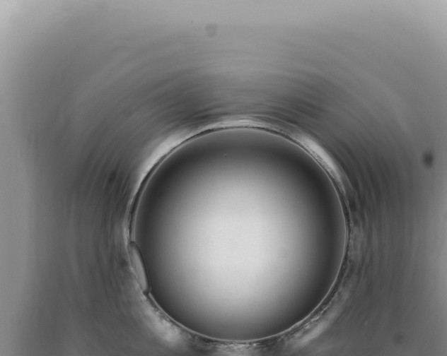 X0000090770813200707271526