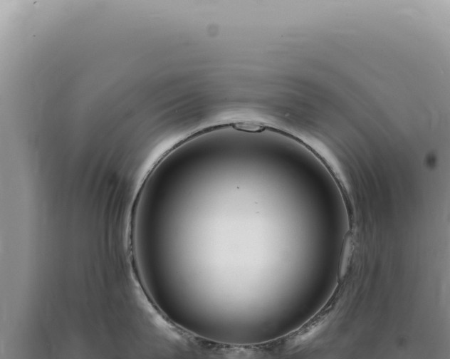 X0000090770815200707271526