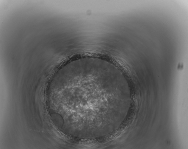 X0000090770817200707271525