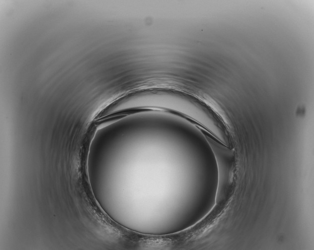 X0000090770826200707271525