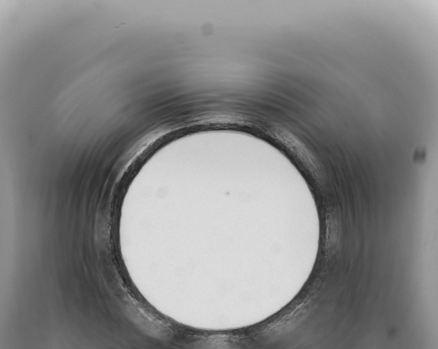 X0000090770828200707271525
