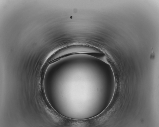 X0000090770830200707271525