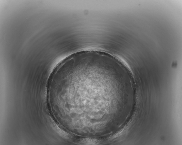 X0000090770831200707271525