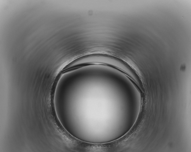 X0000090770834200707271525