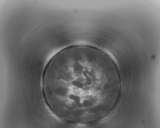 X0000090770839200707271526
