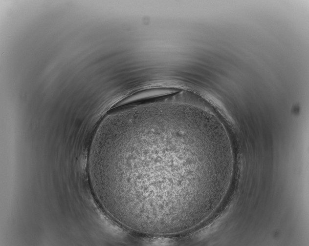 X0000090770841200707271526