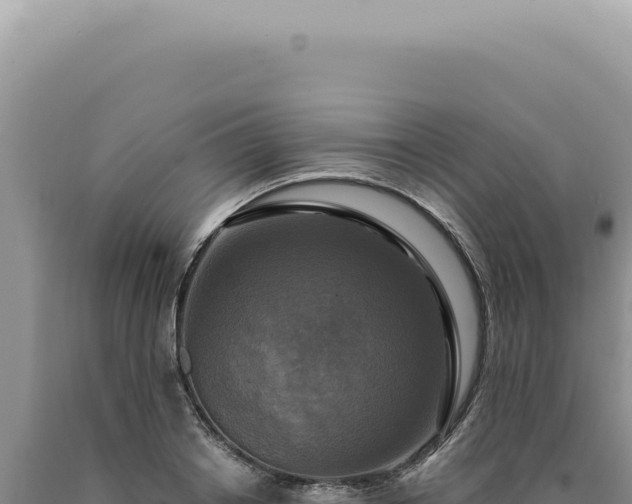 X0000090770842200707271526