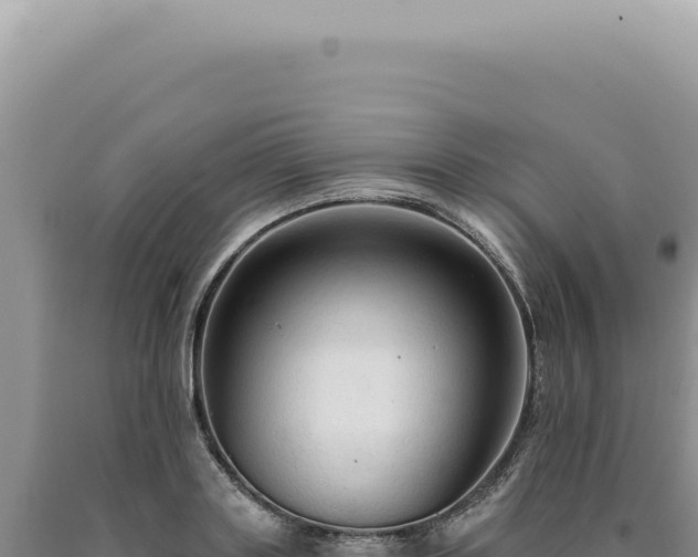 X0000090770843200707271526