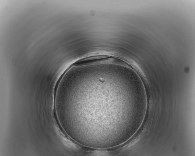 X0000090770844200707271526