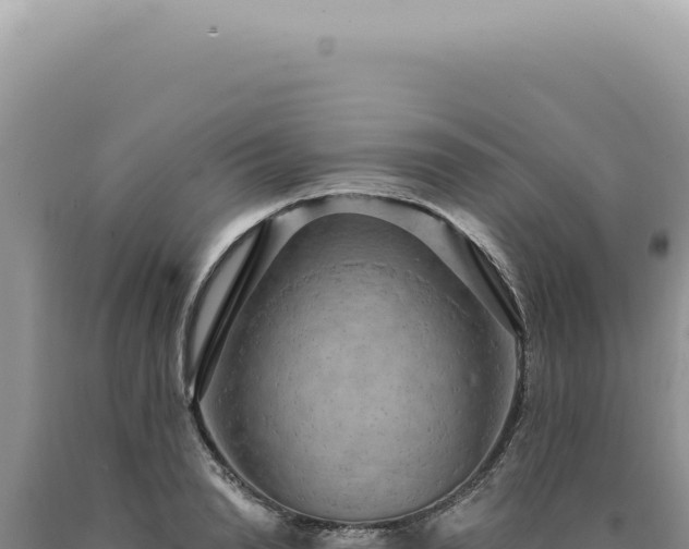 X0000090770846200707271526