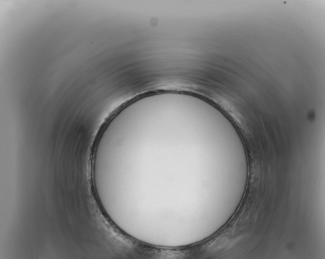 X0000090770848200707271526