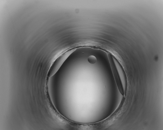 X0000090770850200707271526
