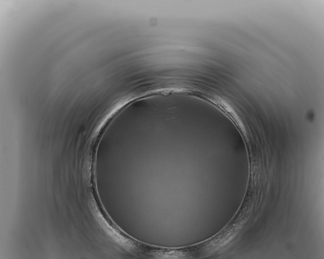 X0000090770851200707271526