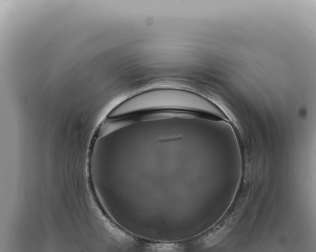X0000090770853200707271526