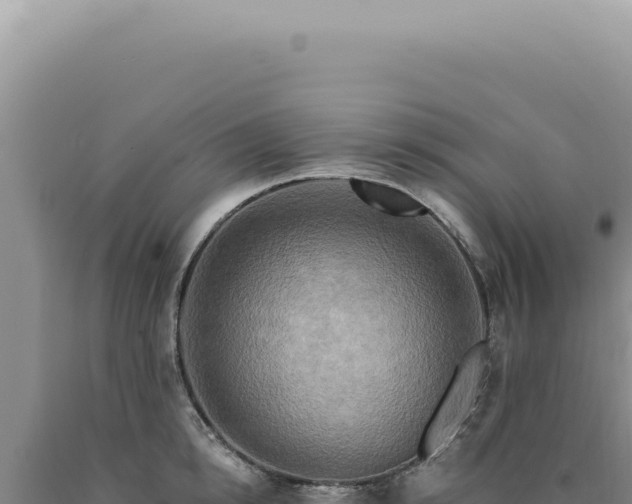 X0000090770854200707271526