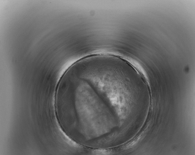 X0000090770855200707271526