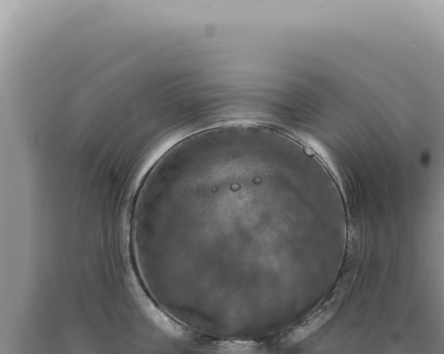 X0000090770859200707271526