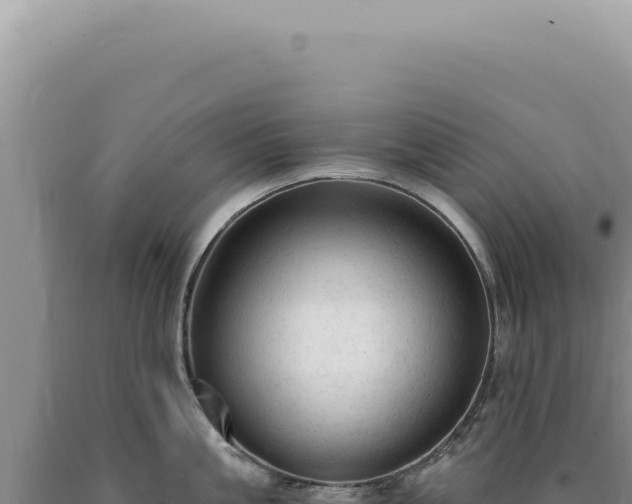X0000090770861200707271526