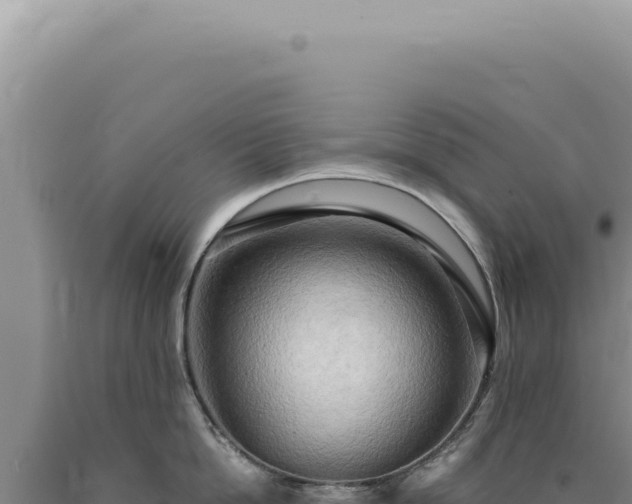 X0000090770862200707271526