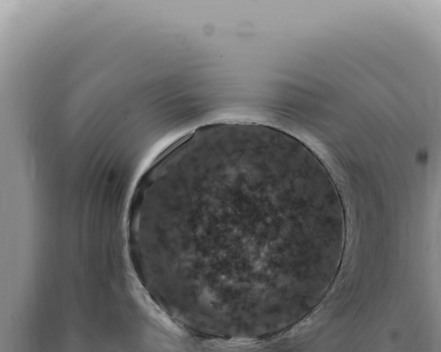 X0000090770864200707271526