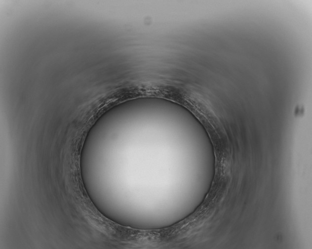 X0000090770865200707271525
