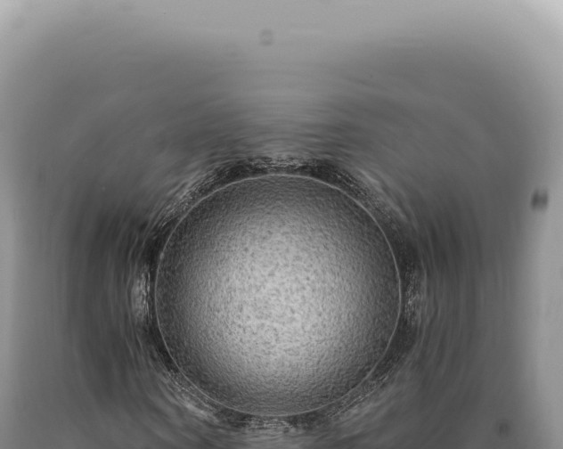 X0000090770866200707271525
