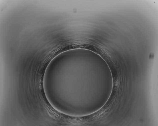 X0000090770868200707271525