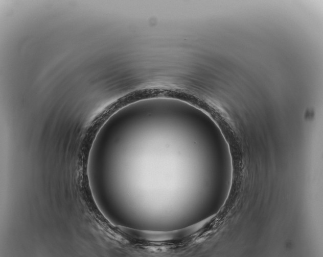 X0000090770872200707271525