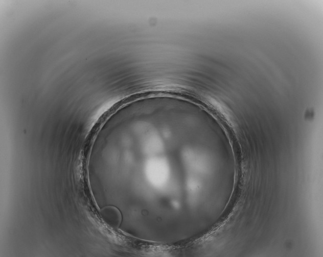 X0000090770875200707271525