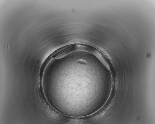 X0000090770877200707271525