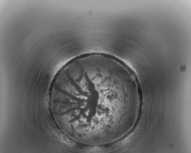 X0000090770879200707271525