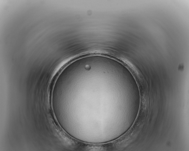 X0000090770886200707271525